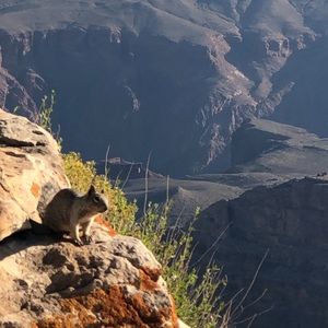 Meet your Posher, Posh